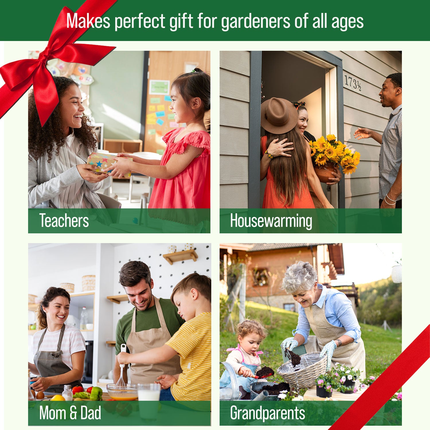 Herbs Garden Kit
